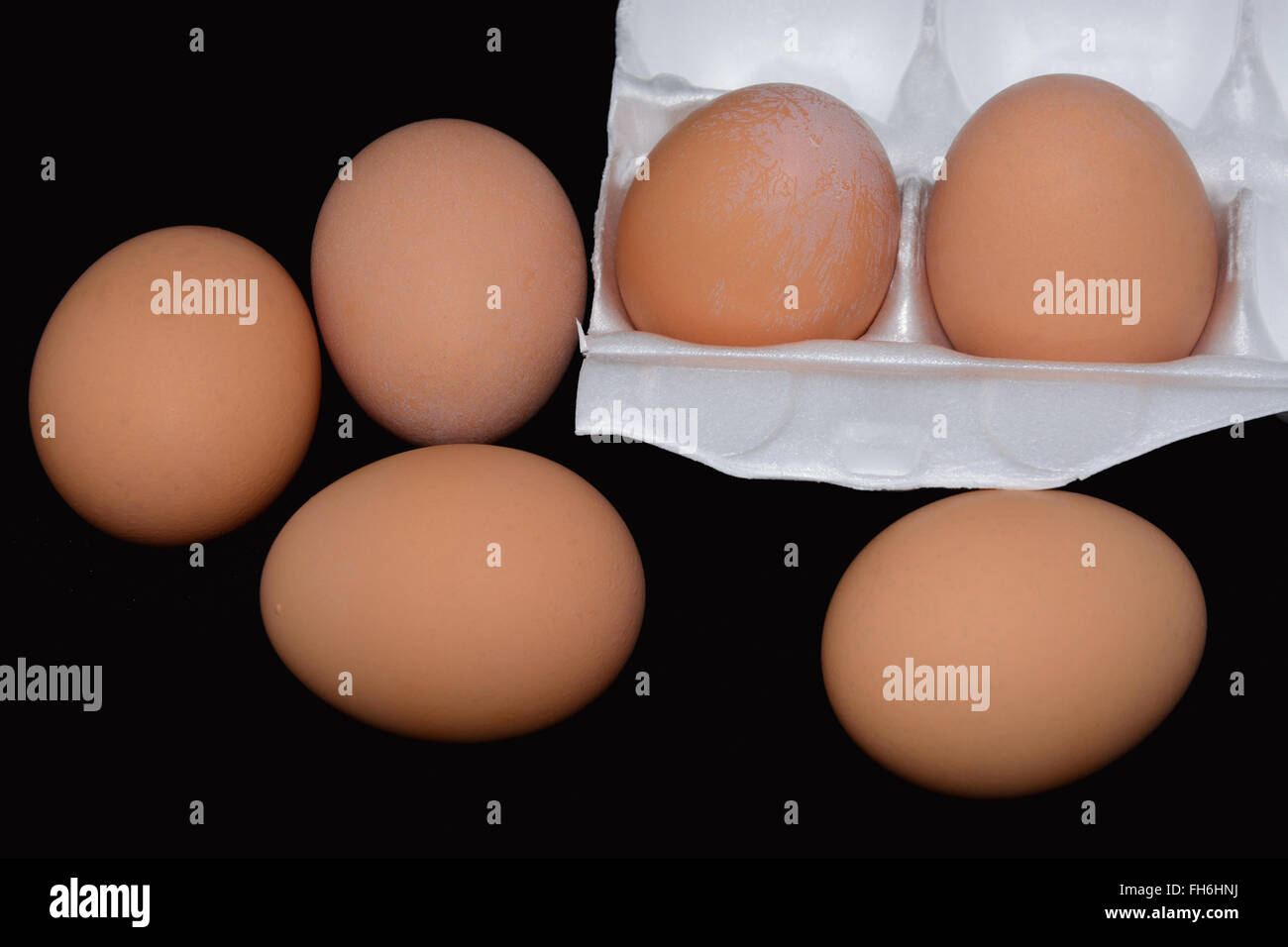 Brown chicken eggs in styrofoam container against black backgroud Stock