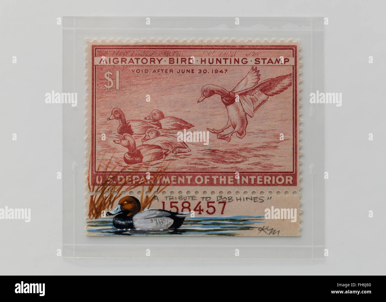 Vintage $1 Migratory Bird Hunting Stamp - USA Stock Photo