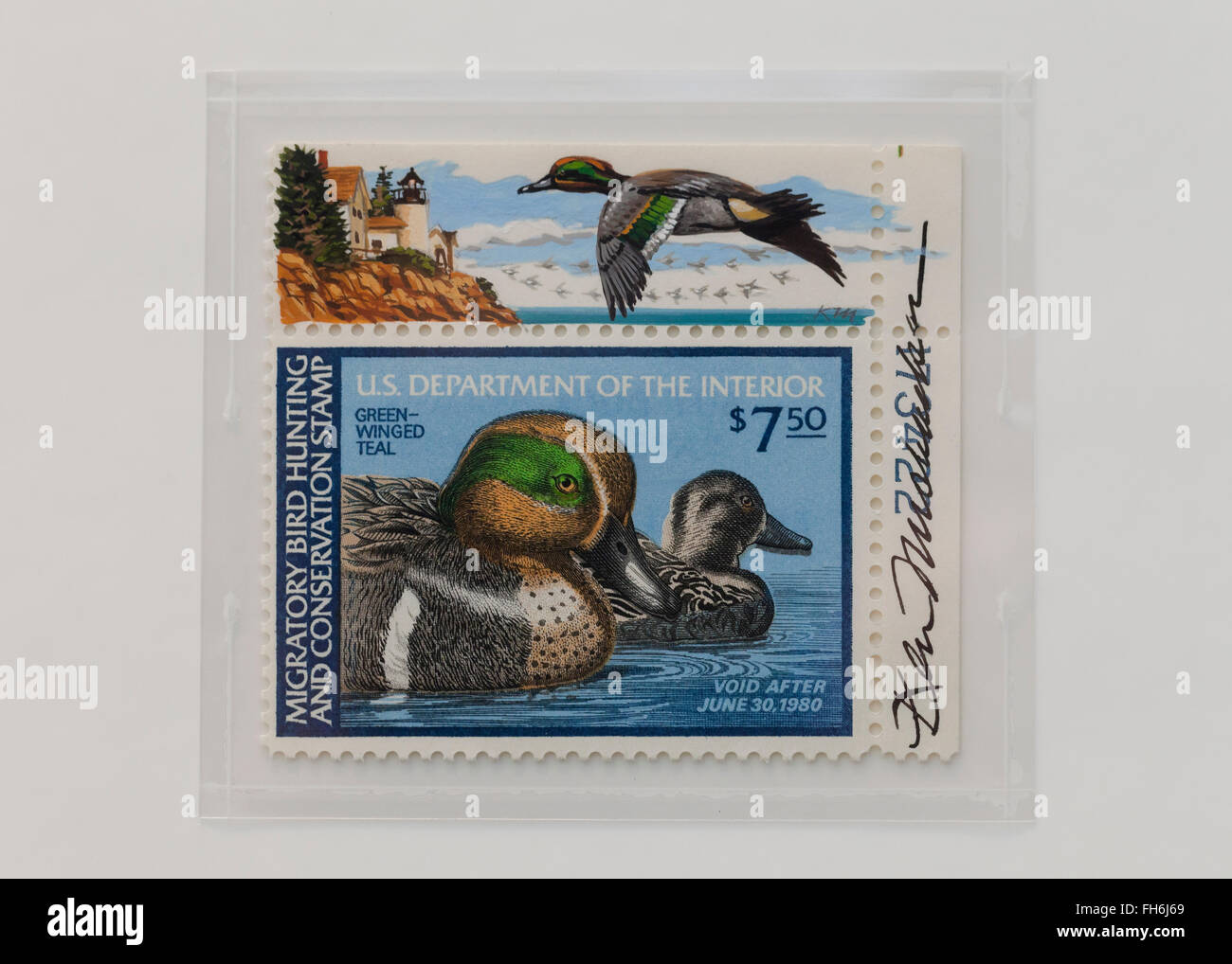 Vintage $3 US Department of the Interior Migratory Bird Hunting stamp, circa 1968 - USA Stock Photo