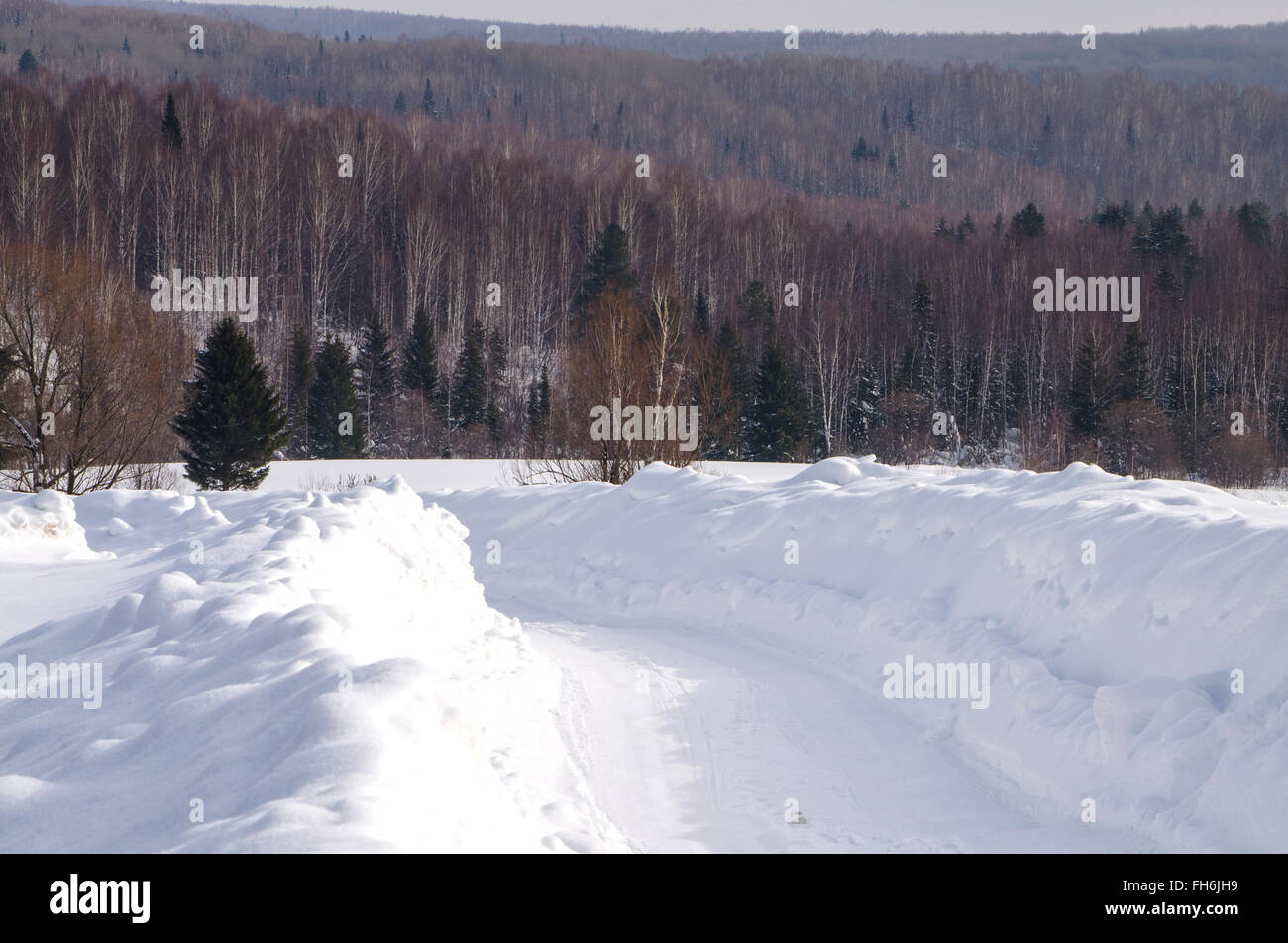 beautiful winter landscape of the Siberian taiga Stock Photo