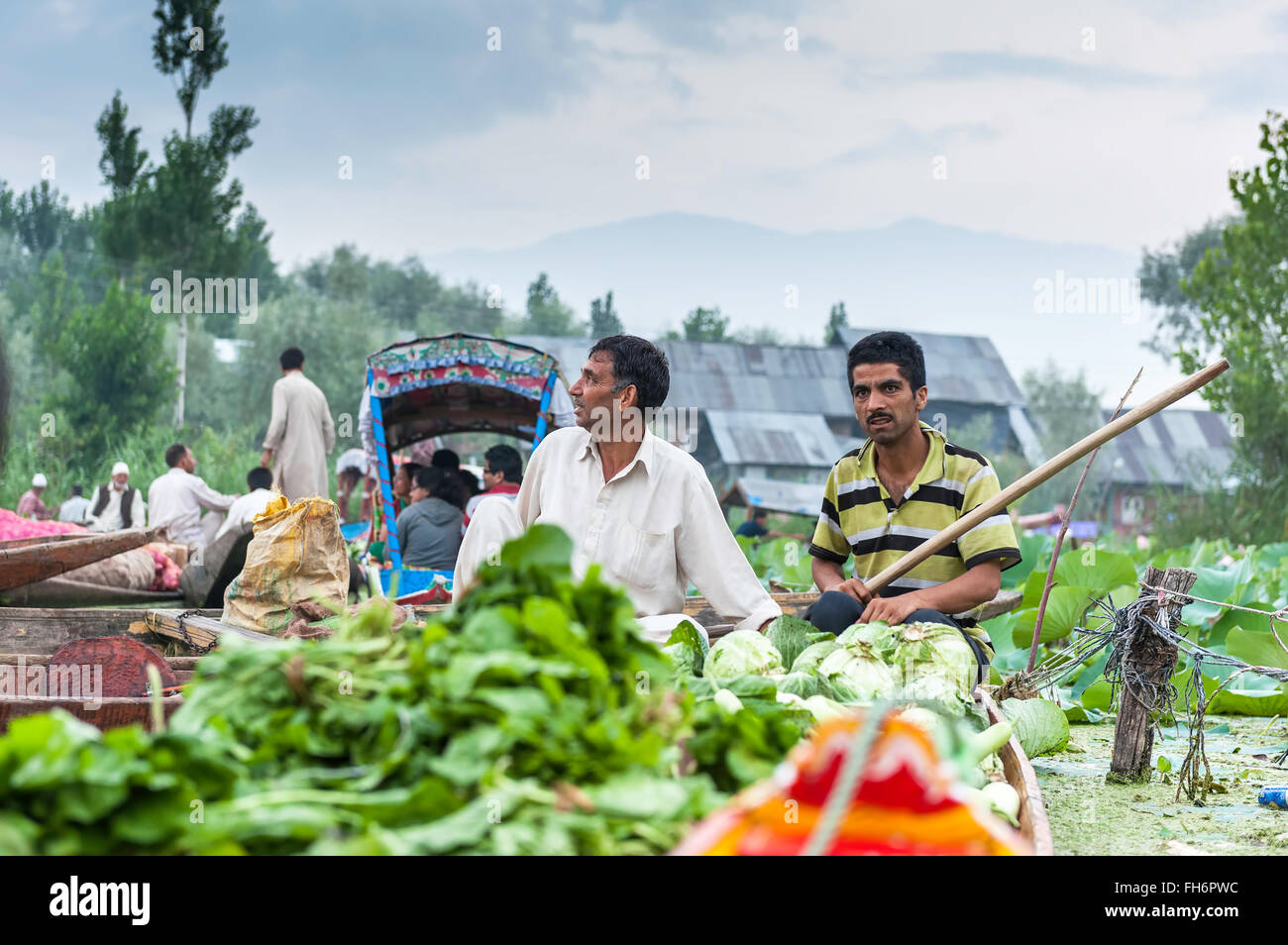 Early Morning vegetables, market on Dal Lake, Srinagar Stock Photo