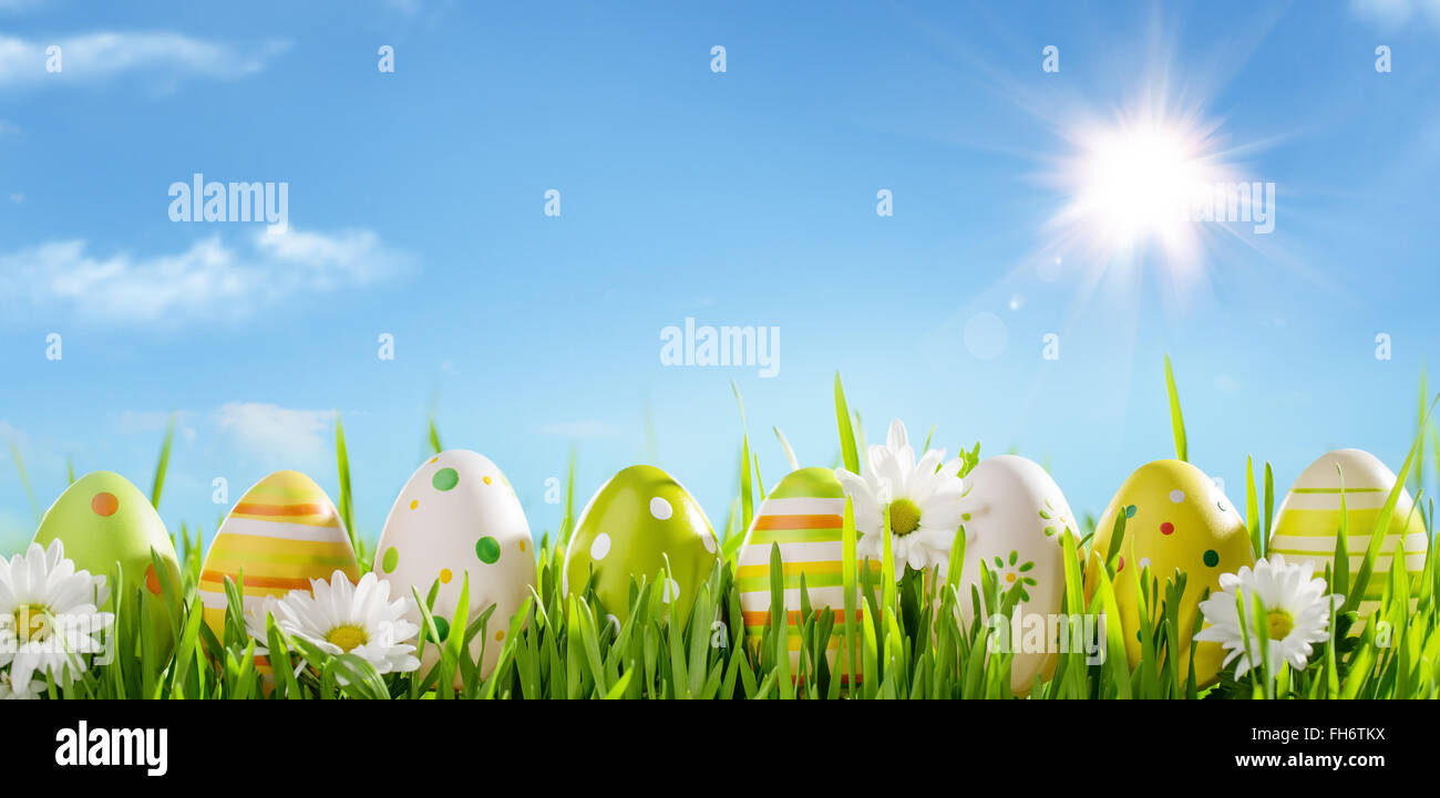 Row of Easter Eggs with Daisy on Fresh Grass Stock Photo