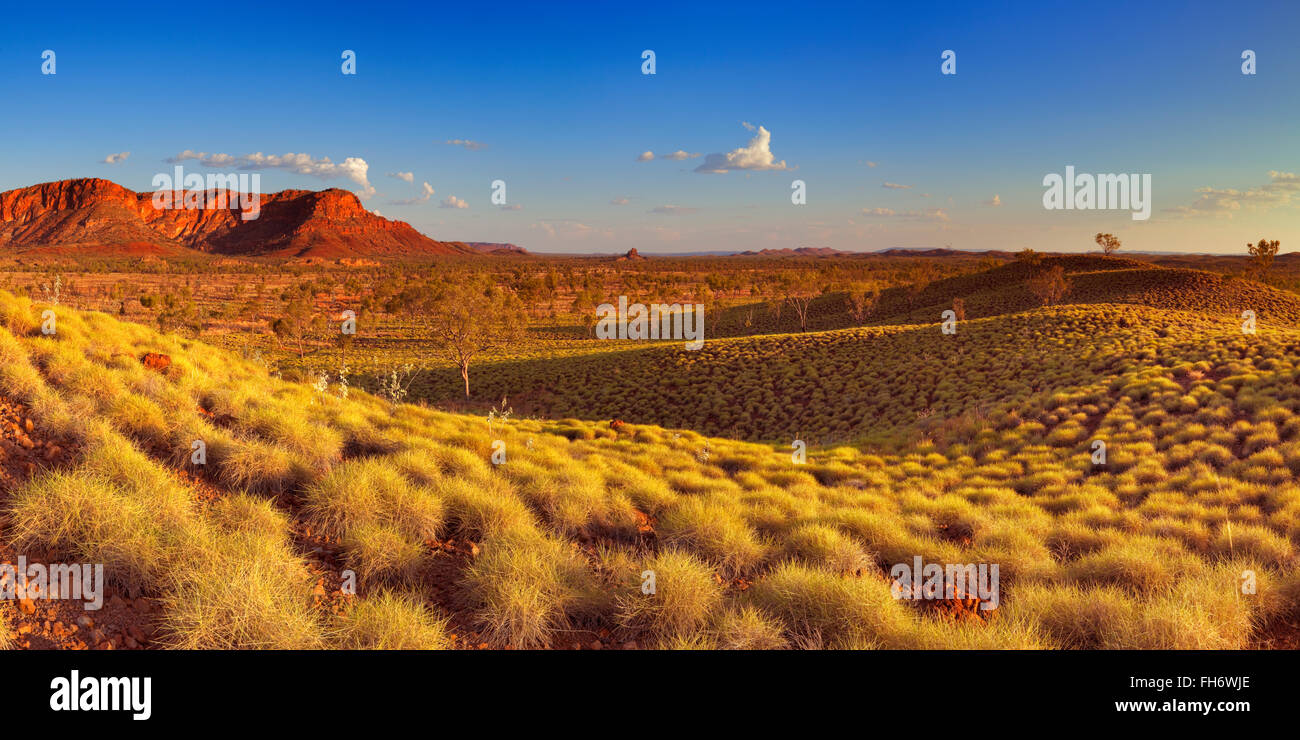 Beautiful Australian landscape in the light of a setting sun. Photographed from the Kungkalahayi lookout in Purnululu National P Stock Photo