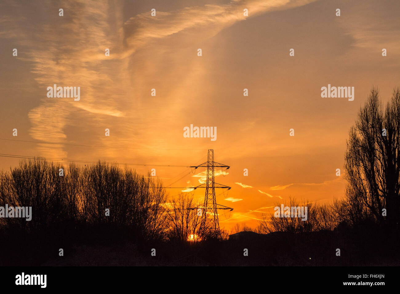 Tottenham Marshes, London, UK. 24th February, 2016. A bright, clear and still sunrise sees Tottenham Marshes under a layer of frost during a cold snap. Credit:  Patricia Phillips/Alamy Live News Stock Photo