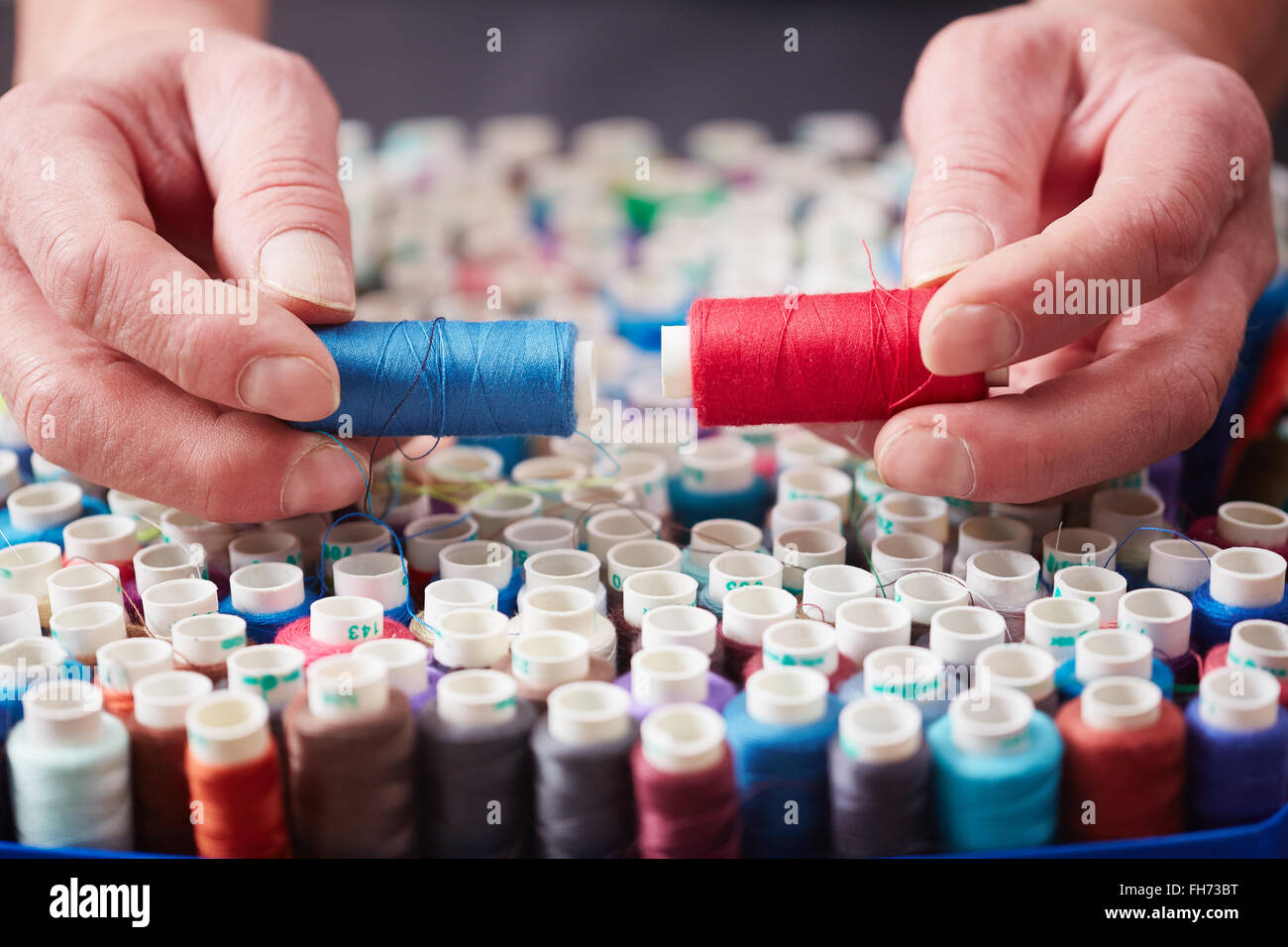 Tailor choosing between blue and red threads Stock Photo