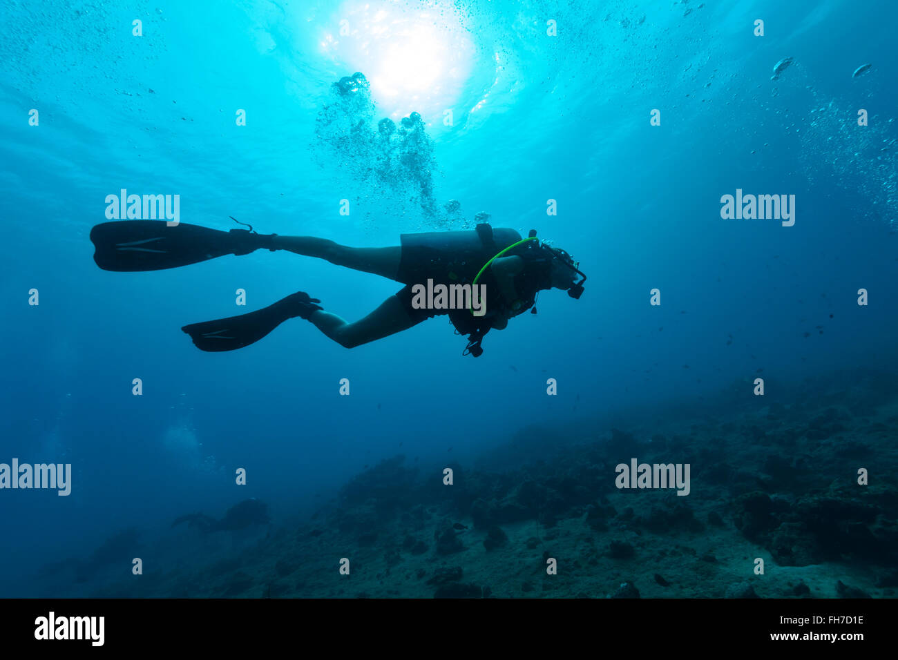 Scuba diver hi-res stock photography and images - Alamy