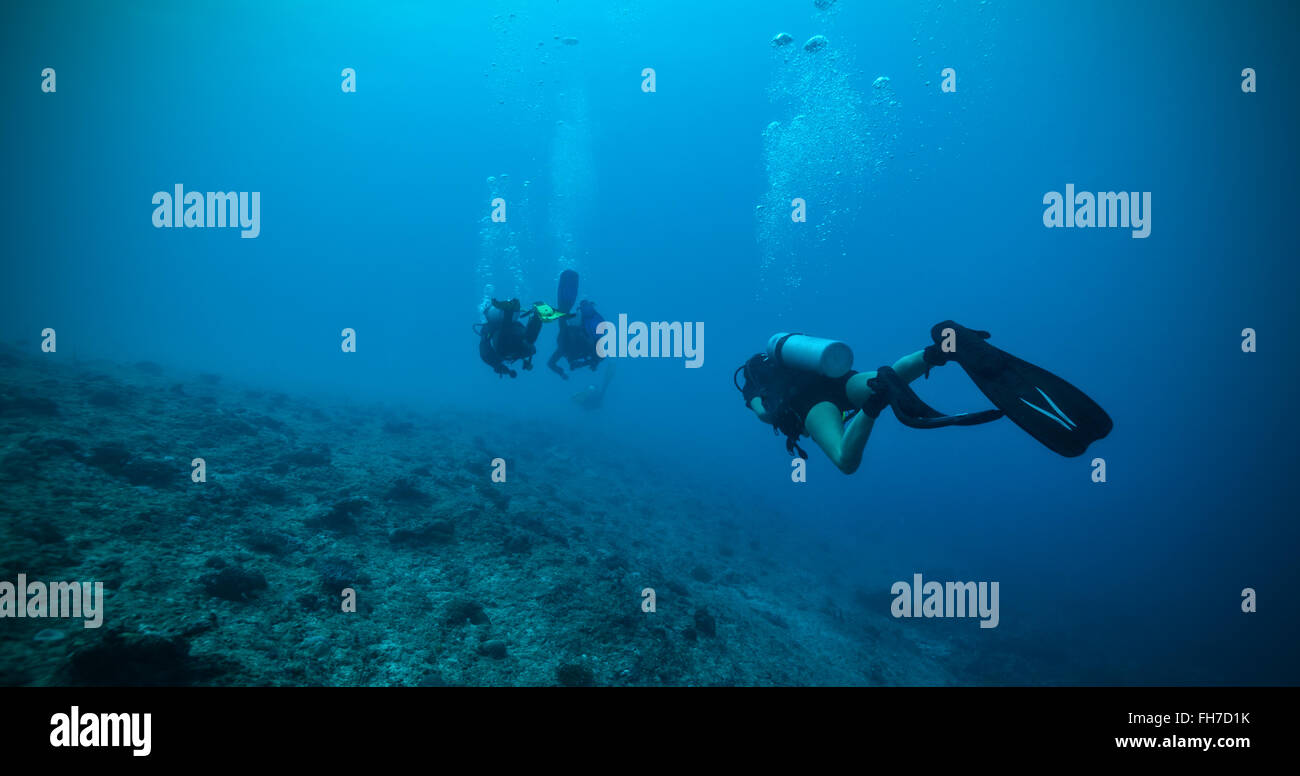 Group of scuba divers underwater Stock Photo