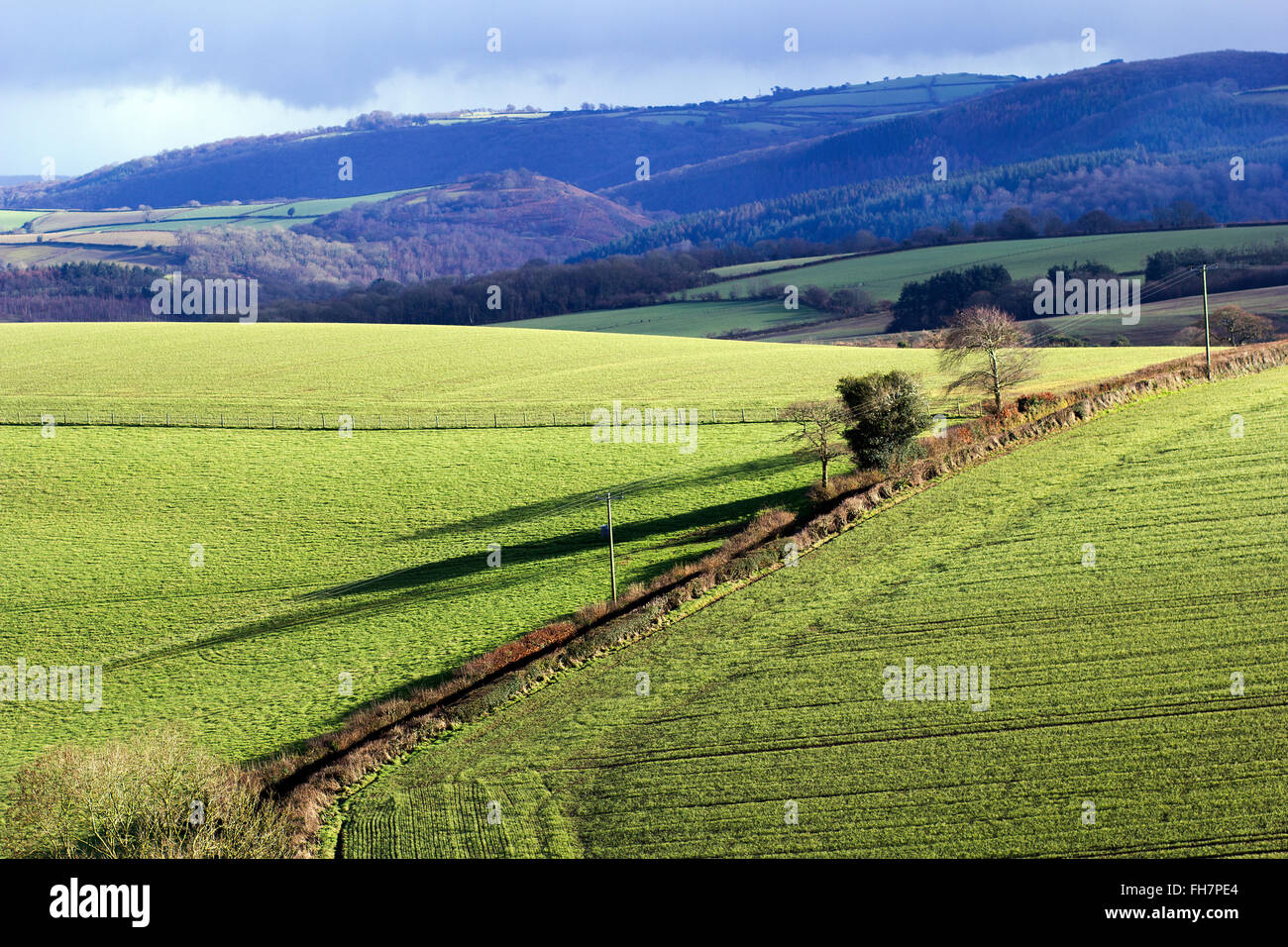 Iron age forts of prestonbury castle and cranbrook castle hires stock
