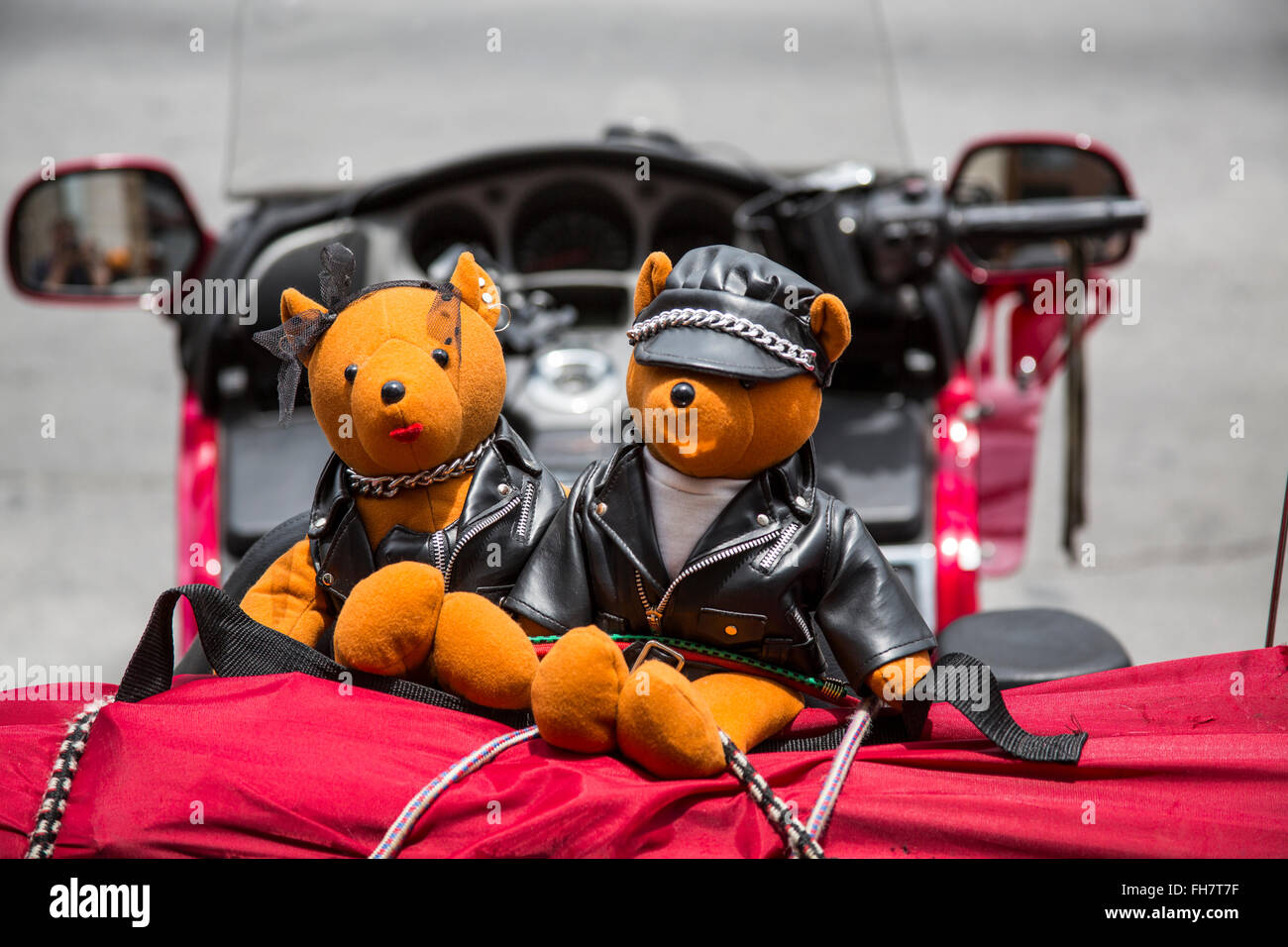 Close-Up Stuffed Animal on Motorcycle Live Wallpaper - free download