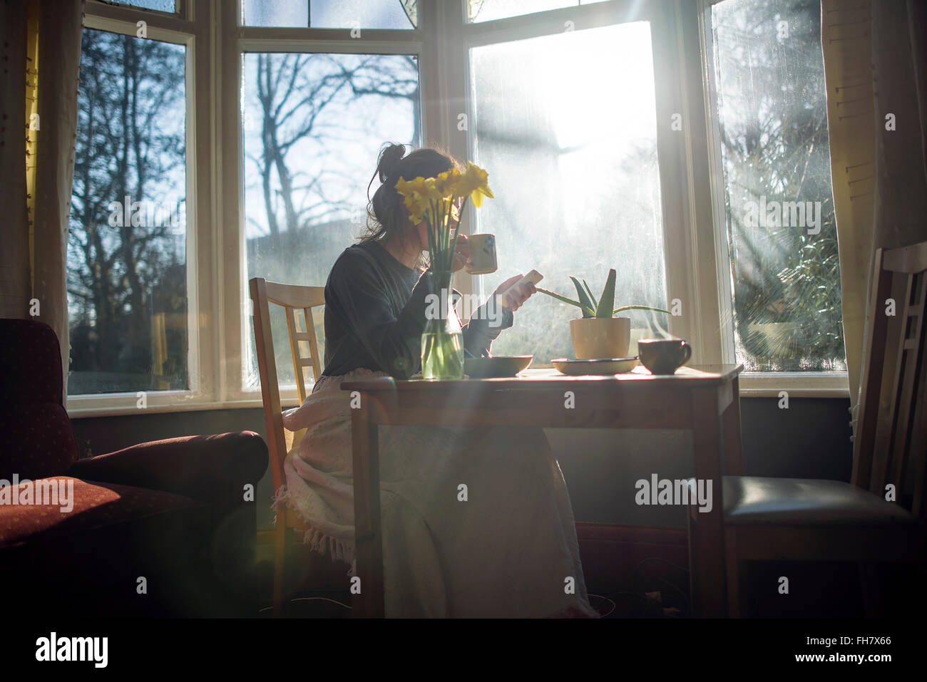 Spring Arrives at breakfast. Young woman sat by window with Daffodils Stock Photo