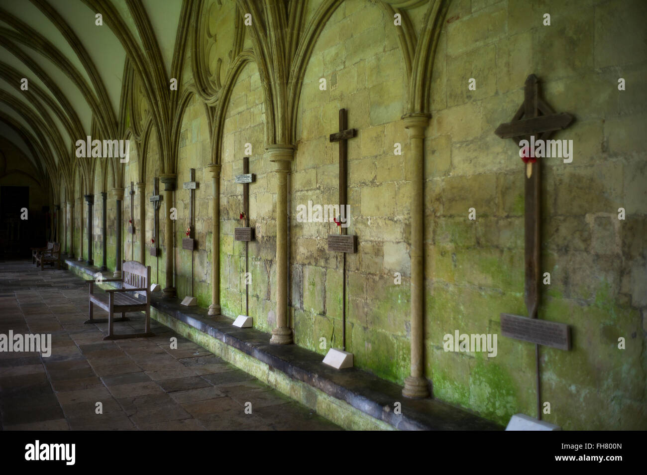 Salisbury Cathedral, Wiltshire,England,UK. Feb 2016 WWI crooses in the cloisters used as grave markers before headstones were used. Salisbury Cathedral, formally known as the Cathedral Church of the Blessed Virgin Mary, is an Anglican cathedral in Salisbury, England, and one of the leading examples of Early English architecture.[1] The main body of the cathedral was completed in only 38 years, from 1220 to 1258.  The cathedral has the tallest church spire in the United Kingdom (123m/404 ft). Visitors can take the 'Tower Tour' where the interior of the hollow spire, with its ancient wood scaffo Stock Photo