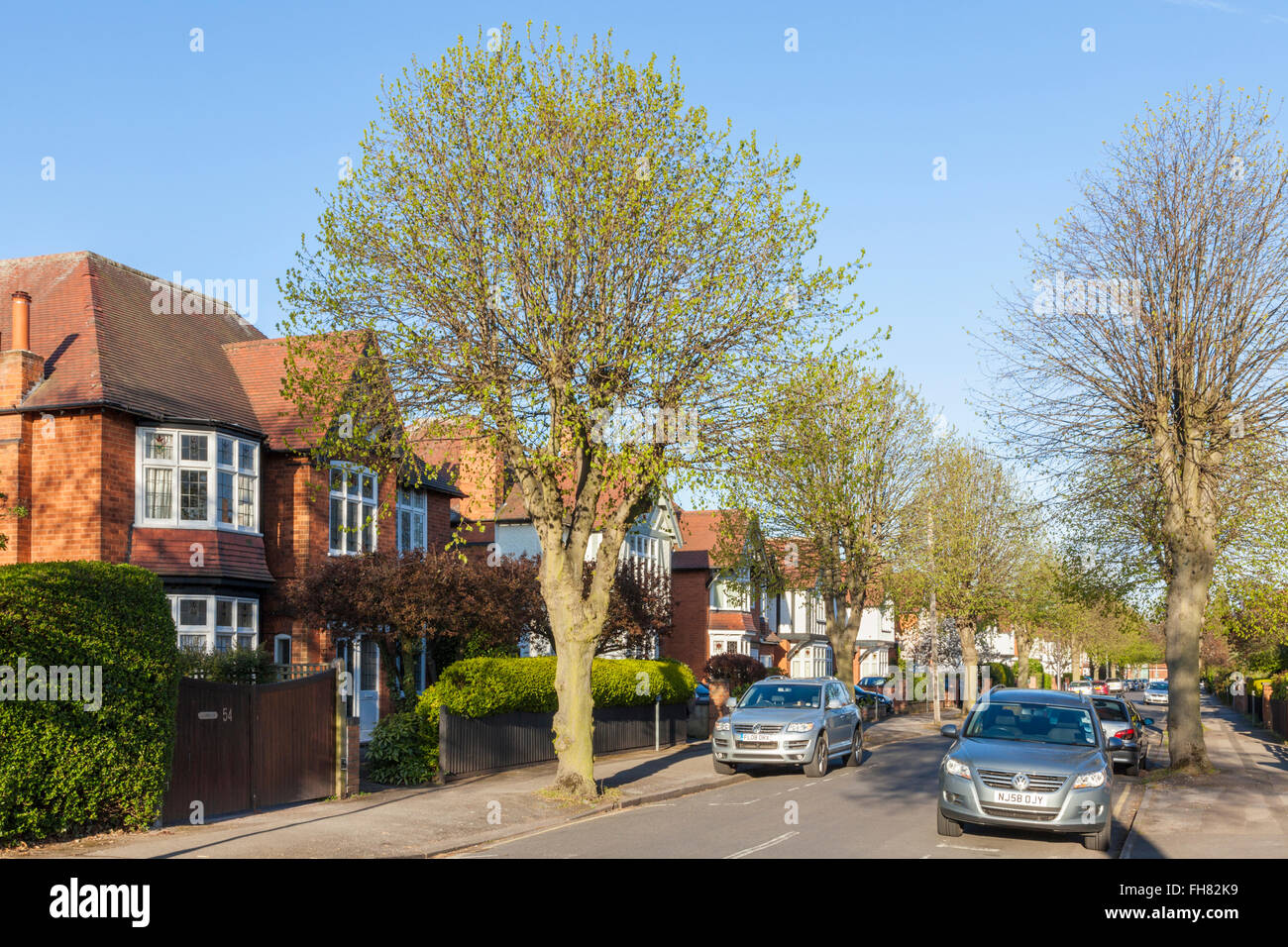 Typical middle class houses on a tree lined residential street in West Bridgford, Nottinghamshire, England, UK Stock Photo