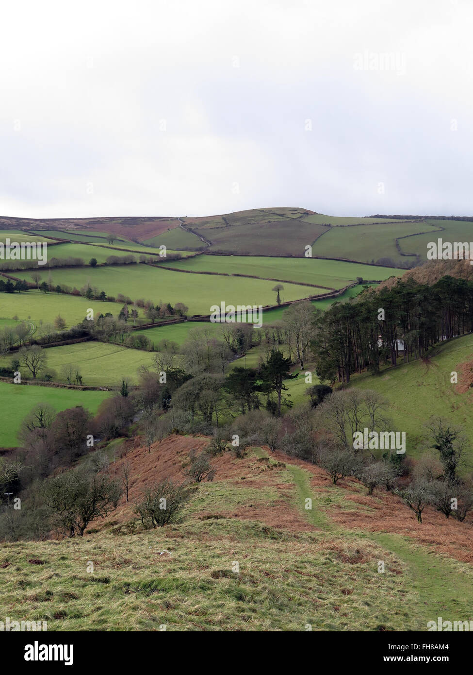 Exmoor: near 'Doone Valley' Stock Photo