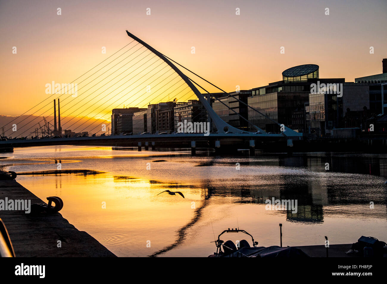 Samuel Beckett Bridge over the River Liffey, Dublin, Ireland at dawn ...
