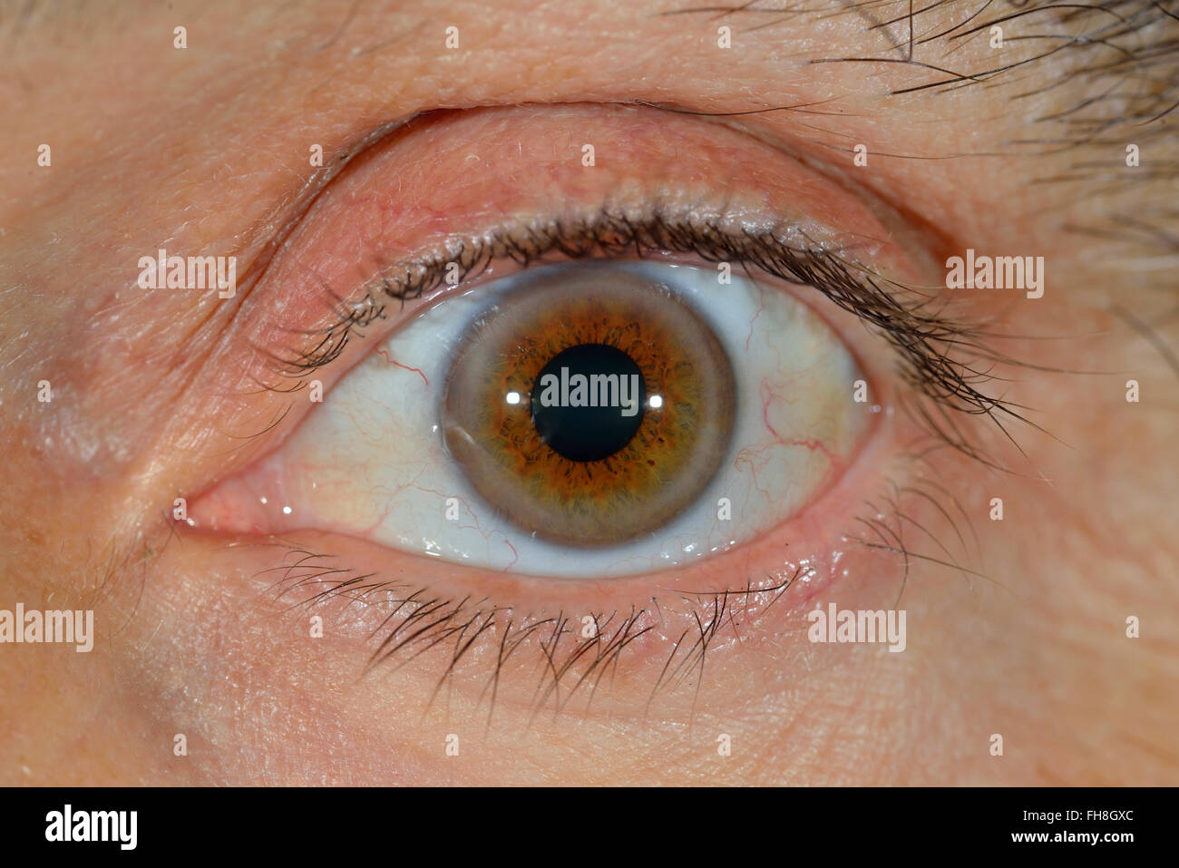 Human male eye Stock Photo