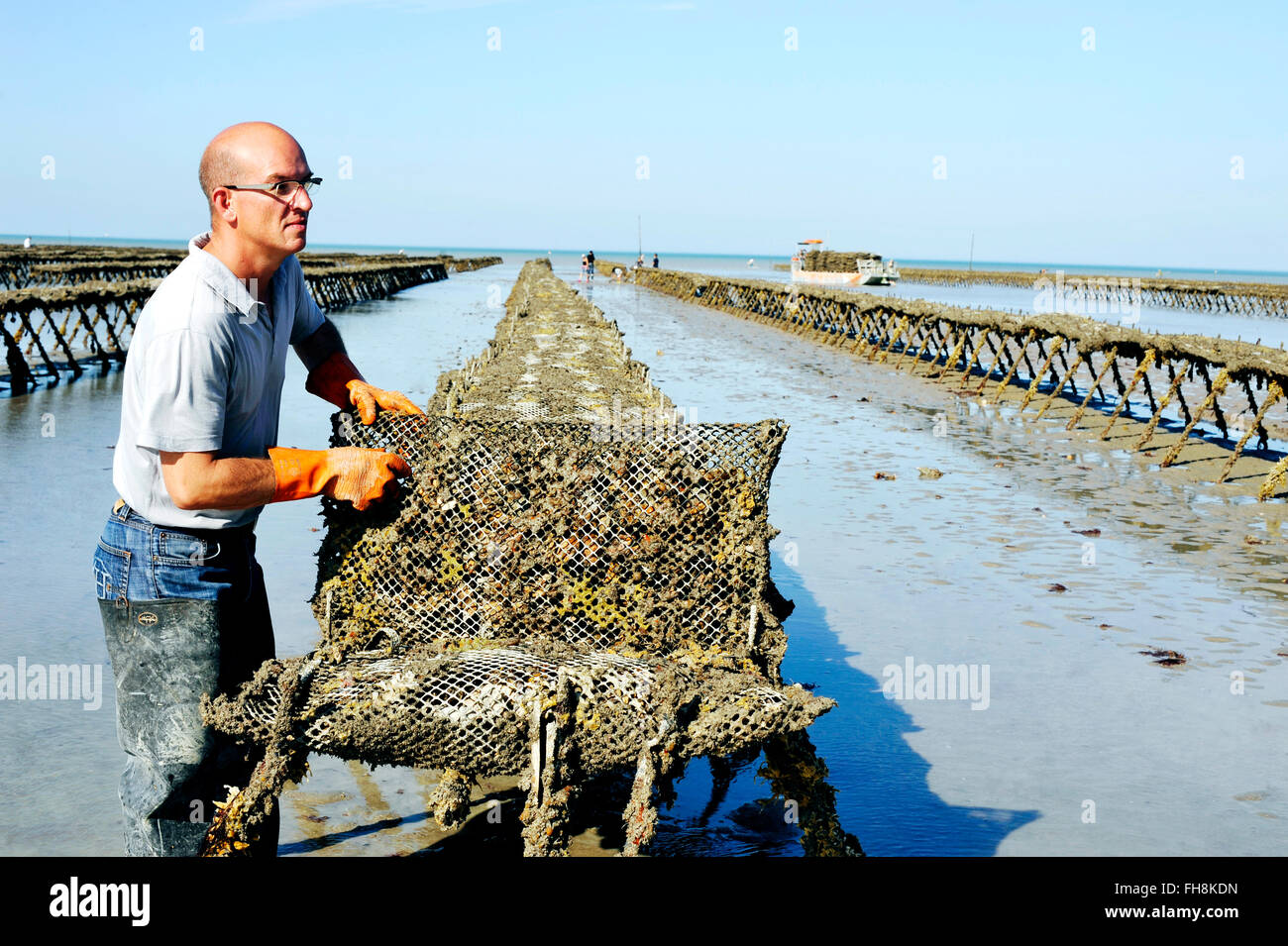 Oyster bed hires stock photography and images Alamy