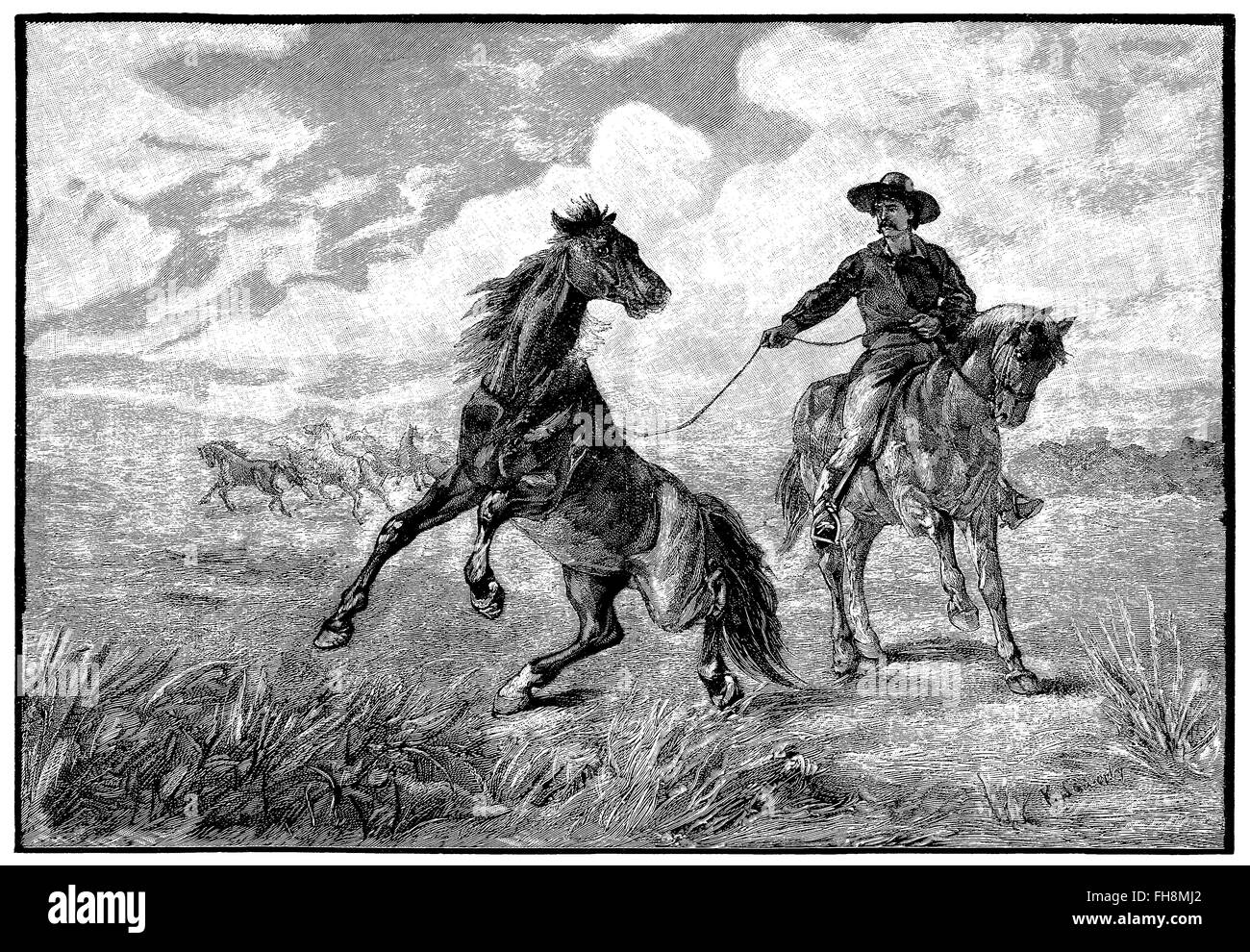 Black and white engraving of a cowboy roping a wild horse on the prairie. Stock Photo