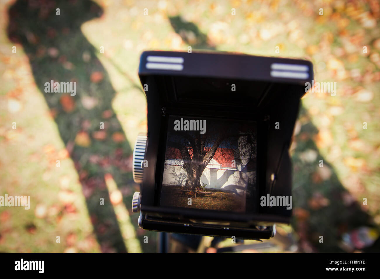 Viewfinder of a vintage camera showing a church and an old tree Stock Photo