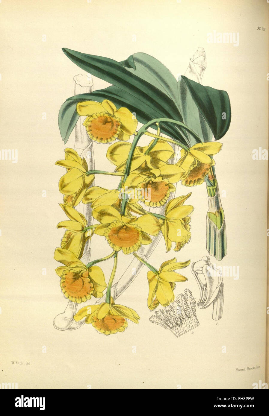 Missouri catalog hires stock photography and images Alamy