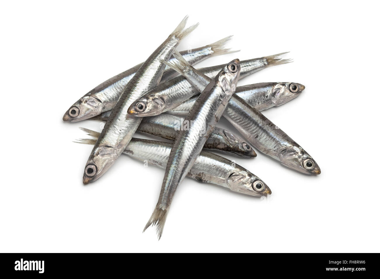 Fresh raw European anchovy on white background Stock Photo