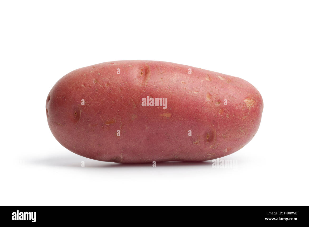 Whole single fresh raw Roseval potato isolated on white background Stock Photo