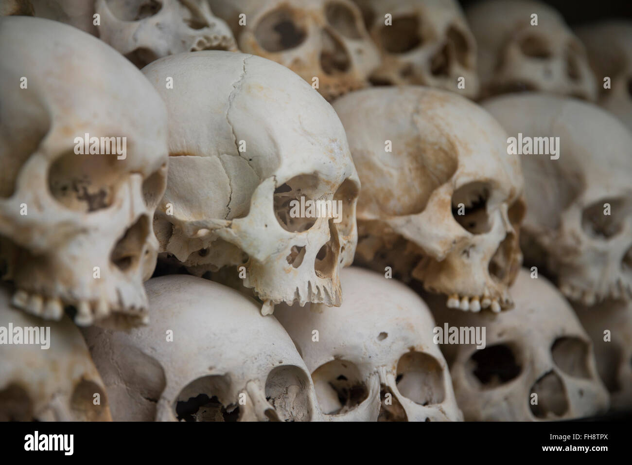 skulls in Killing Fields memorial in Phnom Penh, Cambodia Stock Photo