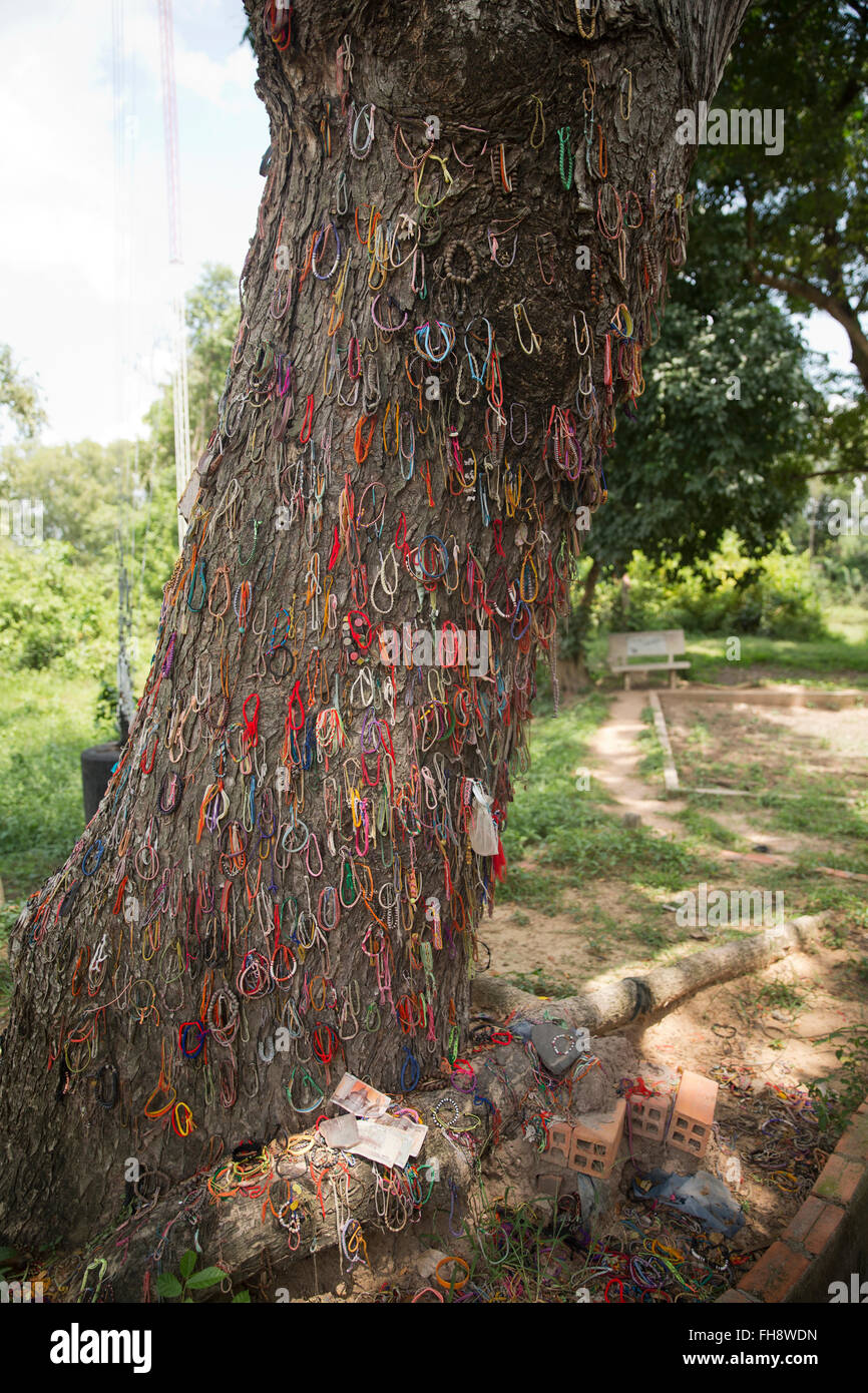 Tree used for smashing heads of infants in front of mothers at Killing Fields memorial in Phnom Penh, Cambodia Stock Photo