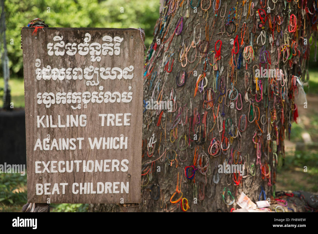 Tree used for smashing heads of infants in front of mothers at Killing Fields memorial in in Phnom Penh, Cambodia Stock Photo