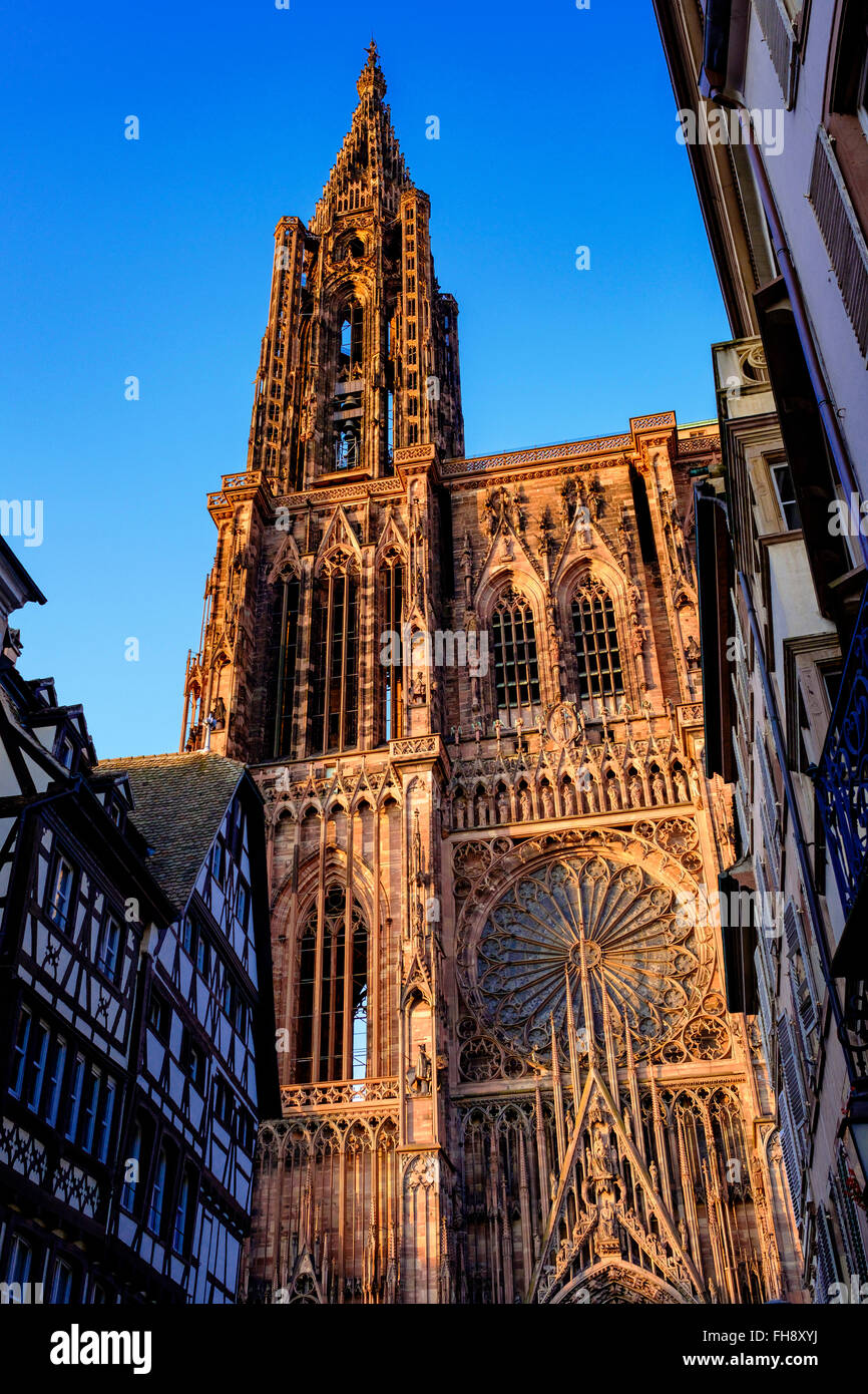 Notre-Dame Gothic Cathedral 14th Century at sunset, Strasbourg, Alsace, France Stock Photo