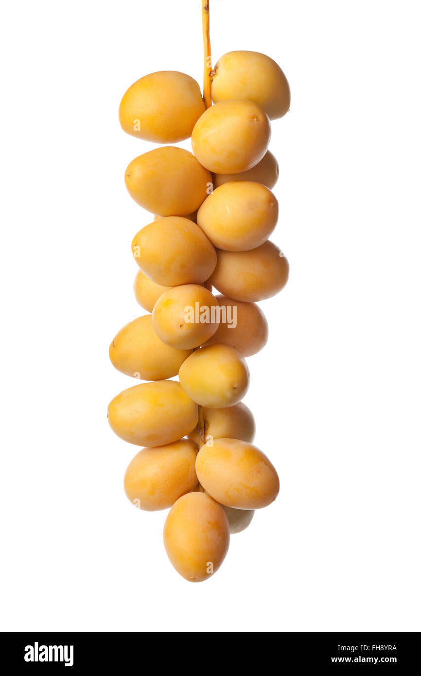 Fresh ripe dates on a sprig on white background Stock Photo
