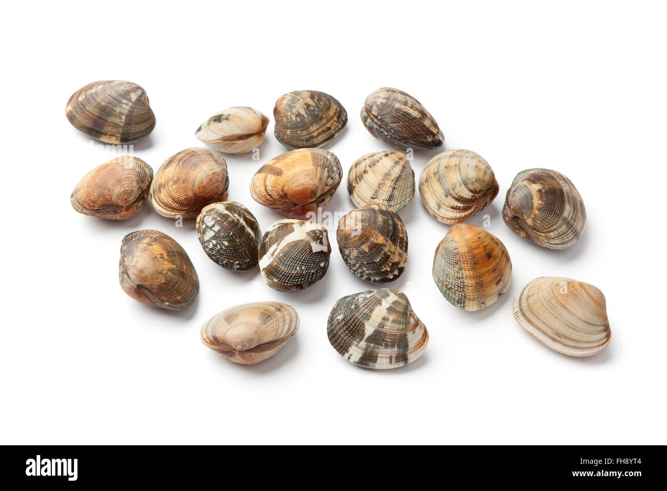 Fresh raw closed vongole veraci clams on white background Stock Photo