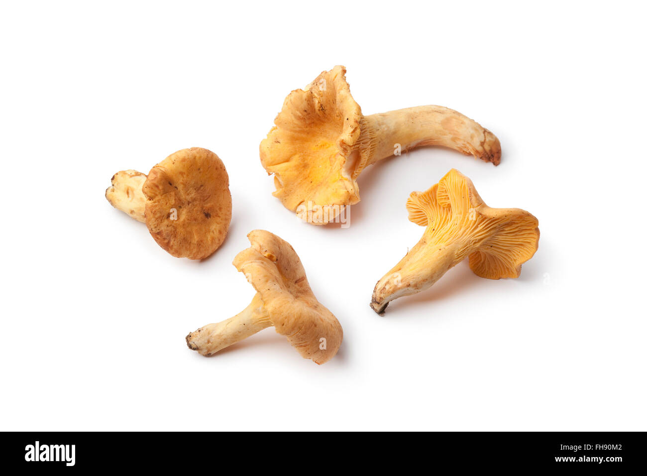 Fresh raw yellow chanterelles isolated on white background Stock Photo