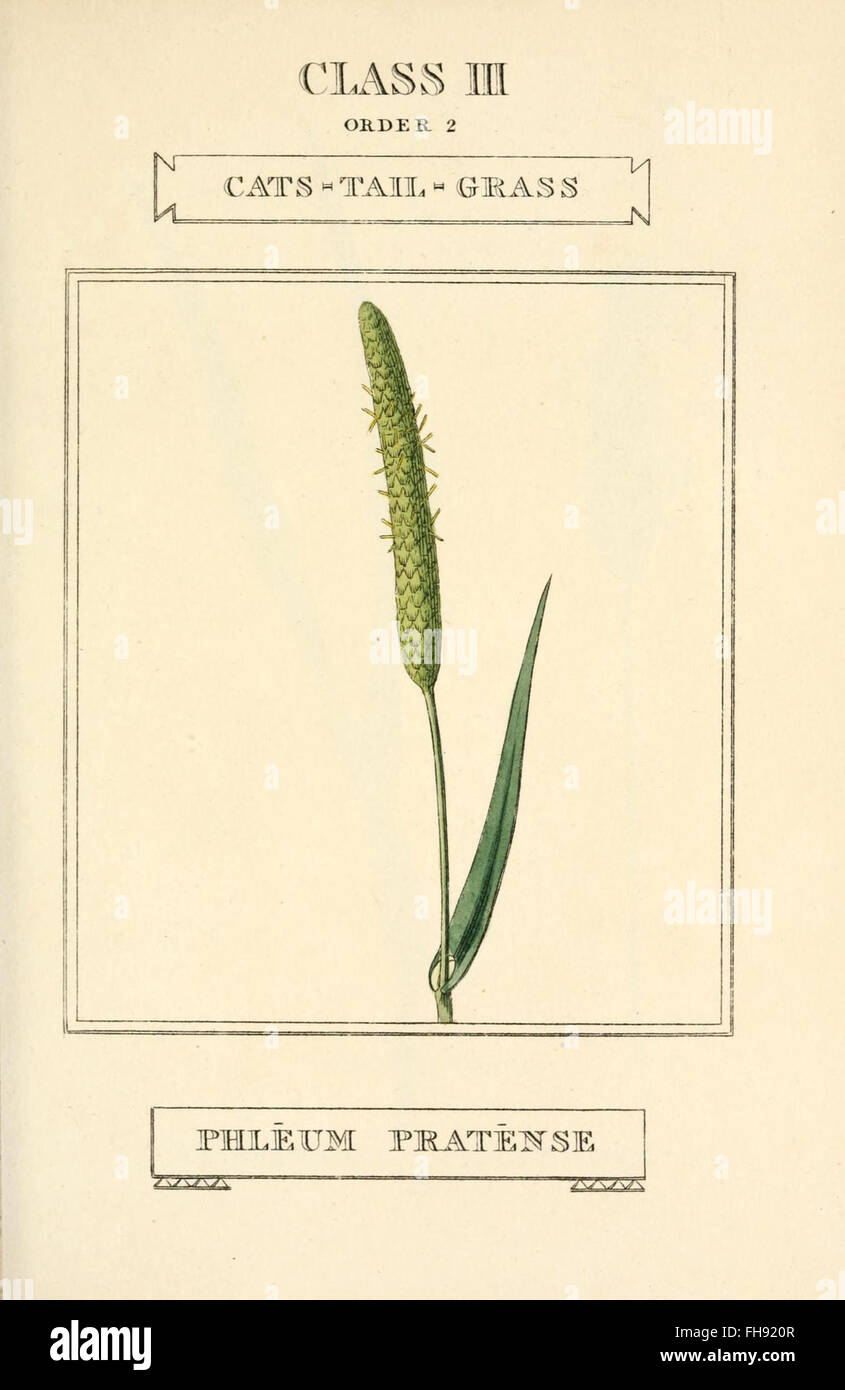 *Elements of the Science of Botany*, a work on plant classification ...