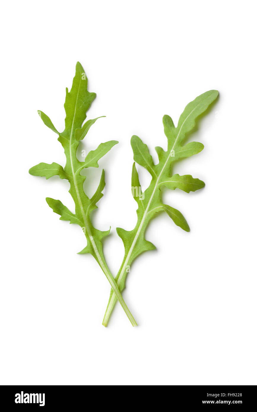 Fresh raw rucola leaves on white background Stock Photo