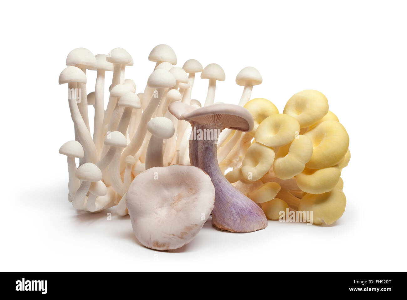 Variety of fresh raw edible mushrooms on white background Stock Photo
