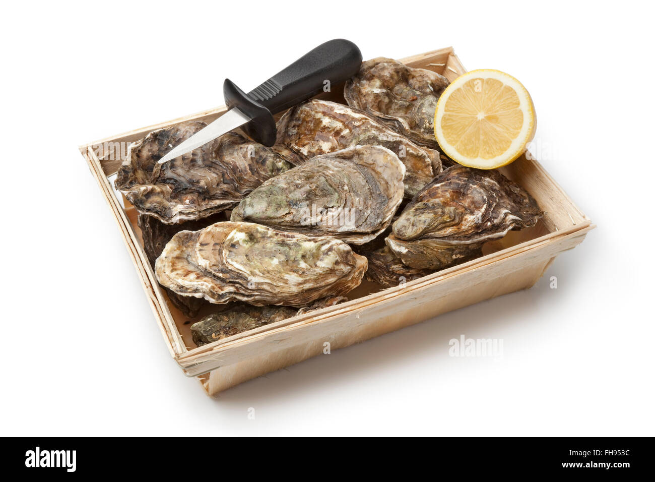 Fresh raw oysters in a box with an oyster-knife and half lemon on white background Stock Photo