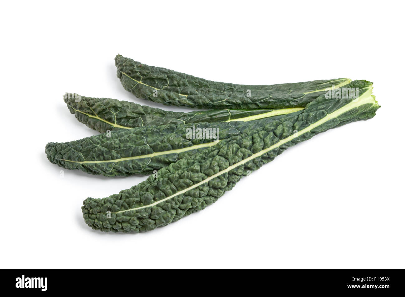 Fresh raw Cavolo Nero leaves on white background Stock Photo