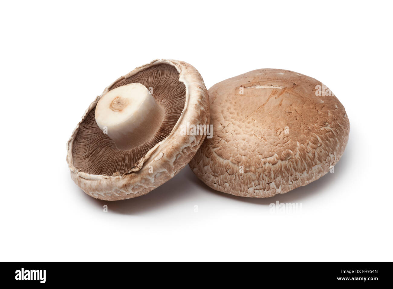 Fresh raw Portobello mushrooms isolated on white background Stock Photo Alamy