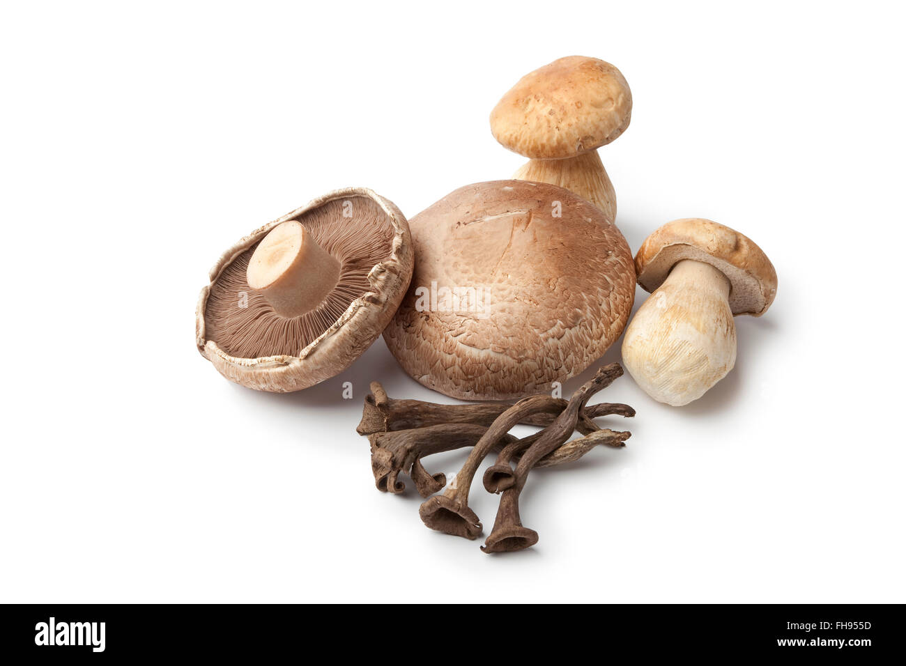 Composition of fresh raw edible mushrooms on white background Stock Photo