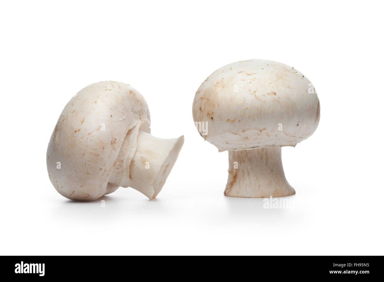 Fresh raw button mushrooms, champignons, on white background Stock