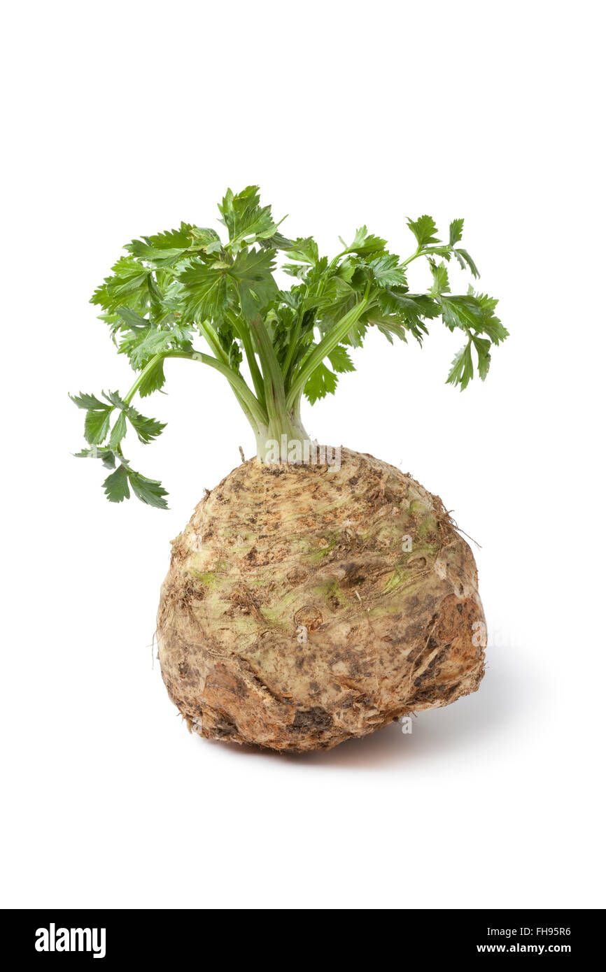 Fresh raw celery root and leaves isolated on white background Stock
