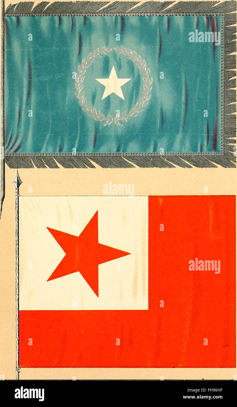 Flags of the Army of the United States carried during the War of the Rebellion, 1861-1865, to designate the headquarters of the different armies, army corps, divisions and brigades (1887) Stock Photo