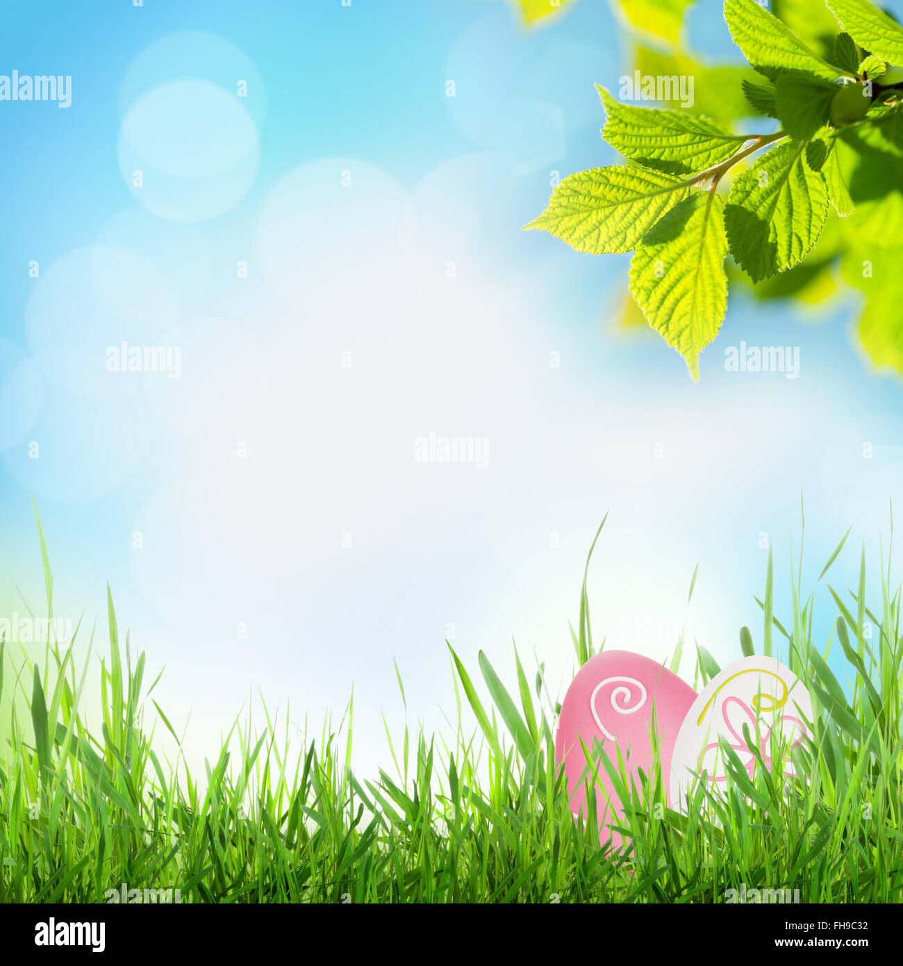 Easter sunny spring background with eggs in grass Stock Photo - Alamy
