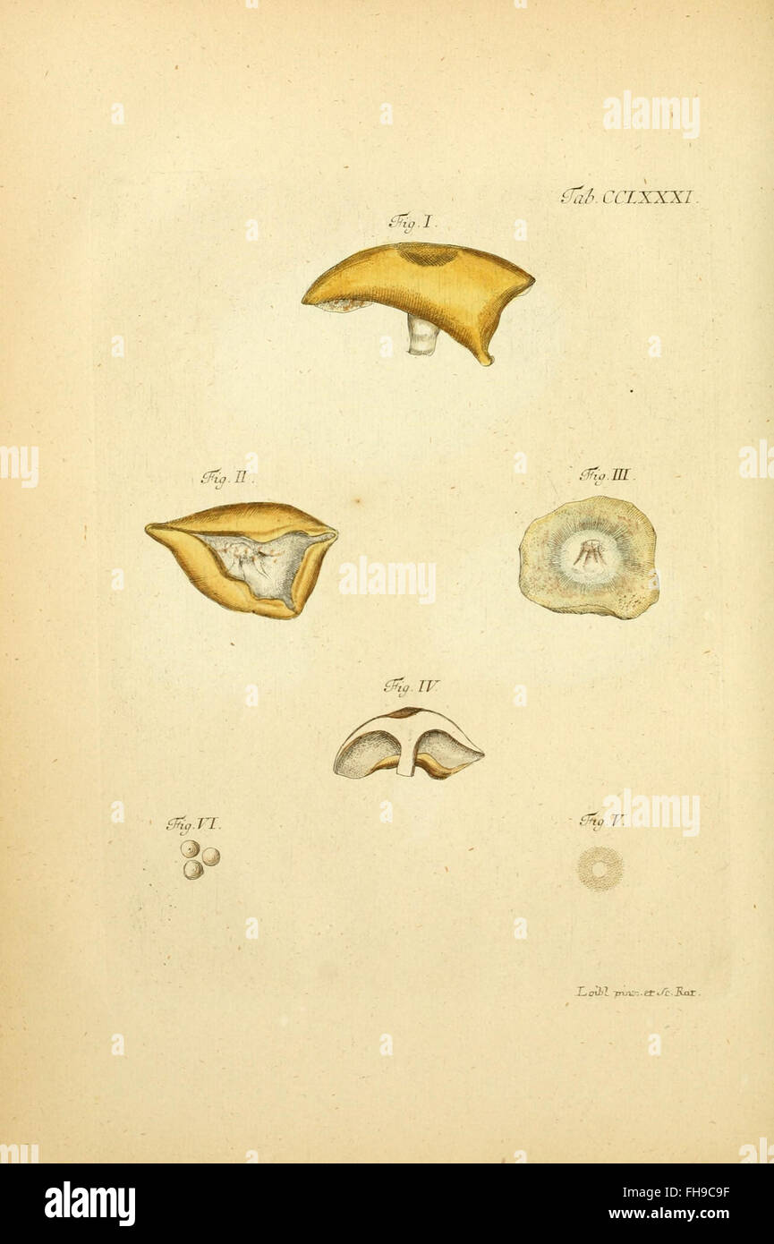 nativis coloribus expressae Stock Photo - Alamy