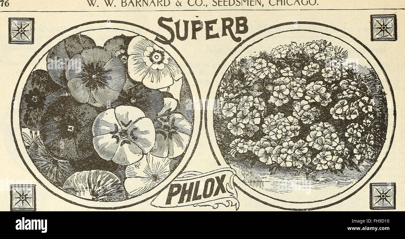 A 1902 seed catalog listing various flowers and field crops, with