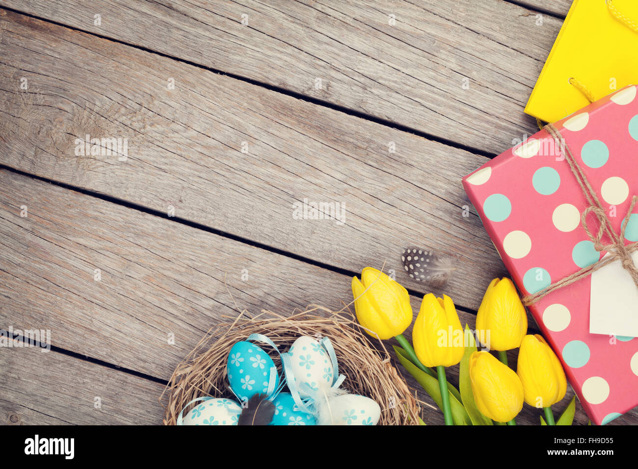 Easter background with blue and white eggs in nest, yellow tulips and ...