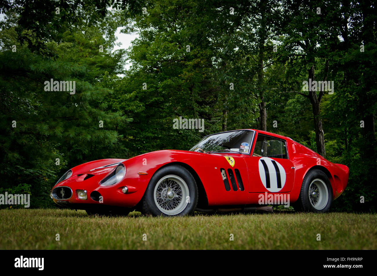 Polo Ferrari 250 GTO italian cars - Greenbird-racing