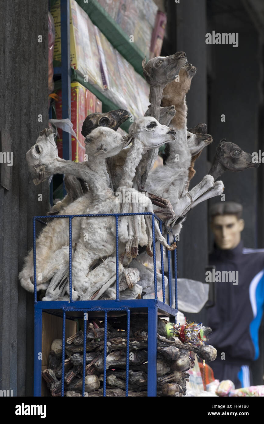 Sell llama fetuses in the witches market in La Paz Stock Photo