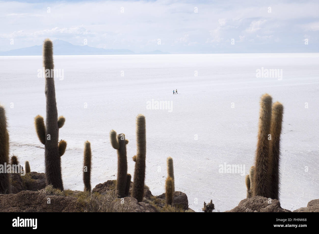 View of Uyuni salt flats from Incahuasi Island Stock Photo
