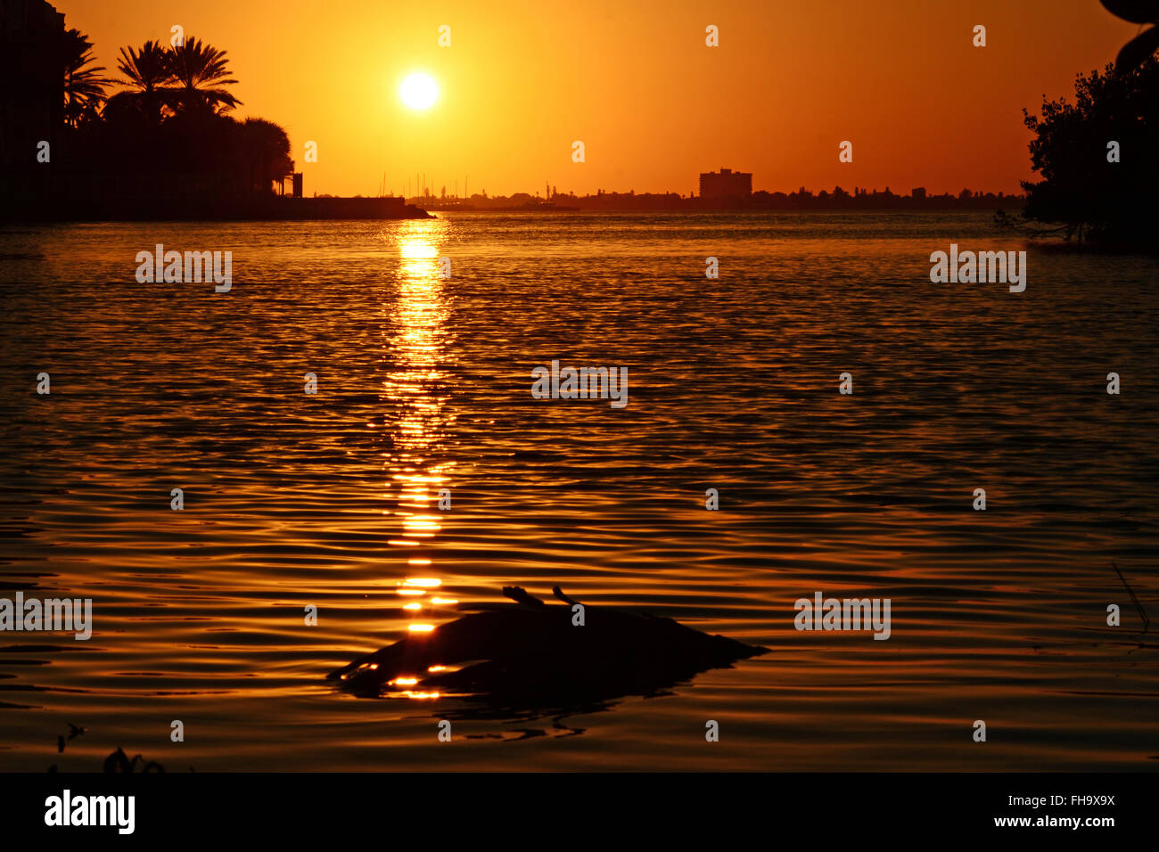 Golden sunset at sea Stock Photo - Alamy